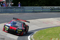 24hNbr16-IMGP5818