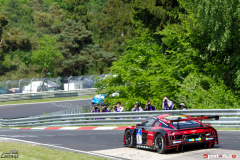 24hNbr16-IMGP5914