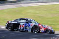24hNbr16-IMGP5941