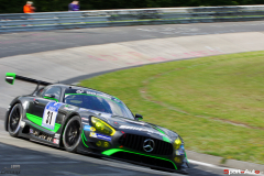 24hNbr16-IMGP5980
