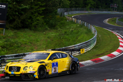 24hNbr16-IMGP6934