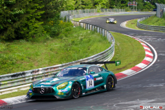 24hNbr16-IMGP6942