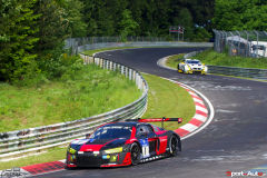 24hNbr16-IMGP7038