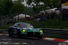 24hNbr16-IMGP7352