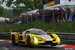 24hNbr16-IMGP7374