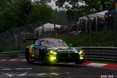 24hNbr16-IMGP7407
