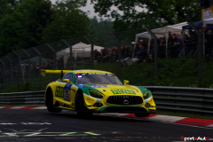 24hNbr16-IMGP7417