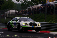 24hNbr16-IMGP7421