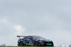 24hNbr16-IMGP9658