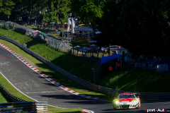IMGP6424
