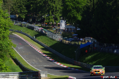 IMGP6442