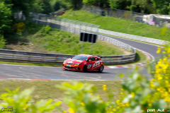 IMGP8874