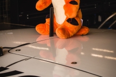 24hRing25-JBL-PENTAX-KP-IMGP6920