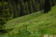 IMG_5828