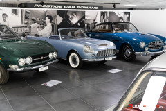 Exposition-Michelotti-Aigle-2022-31