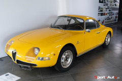 Exposition-Michelotti-Aigle-2022-9