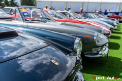 sa-passione-engadina-26