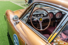 sa-passione-engadina-9