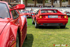 sa-passione-engadina-71