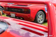 sa-passione-engadina-82