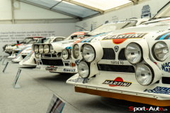 sa-passione-engadina-91