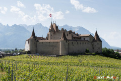 Exposition-Michelotti-Aigle-2022-41