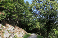 Tessin-2019-G_06