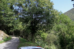 Tessin-2019-G_22