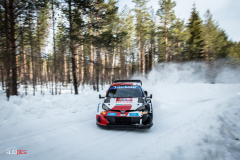 suede_2022_02_25_0108