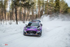 suede_2022_02_25_0135