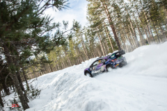 suede_2022_02_25_0139