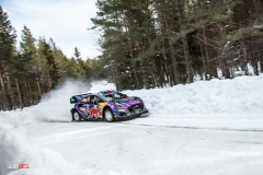 suede_2022_02_25_0179