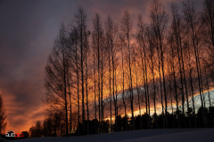 suede_2022_02_25_0403