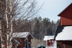 suede_2022_02_26_1003