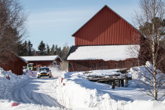 suede_2022_02_26_1049