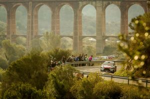 WRC - Important Points ahead of the Final Round