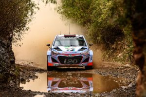 Dani-Sordo-Rally-Mexico-2015