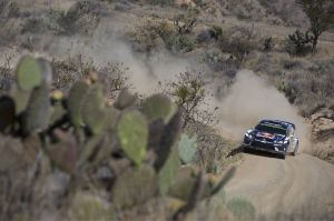 Rally Mexico 2016