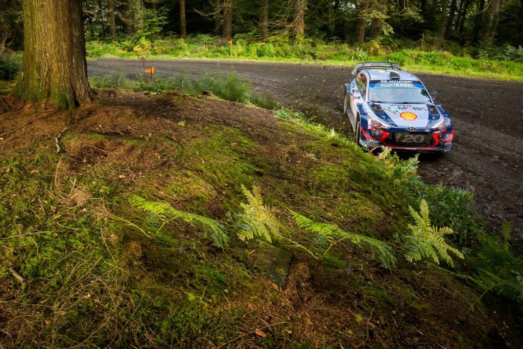 WRC - Platz 5 in Wales: Hyundai-Pilot Neuville verteidigt WM-Führung